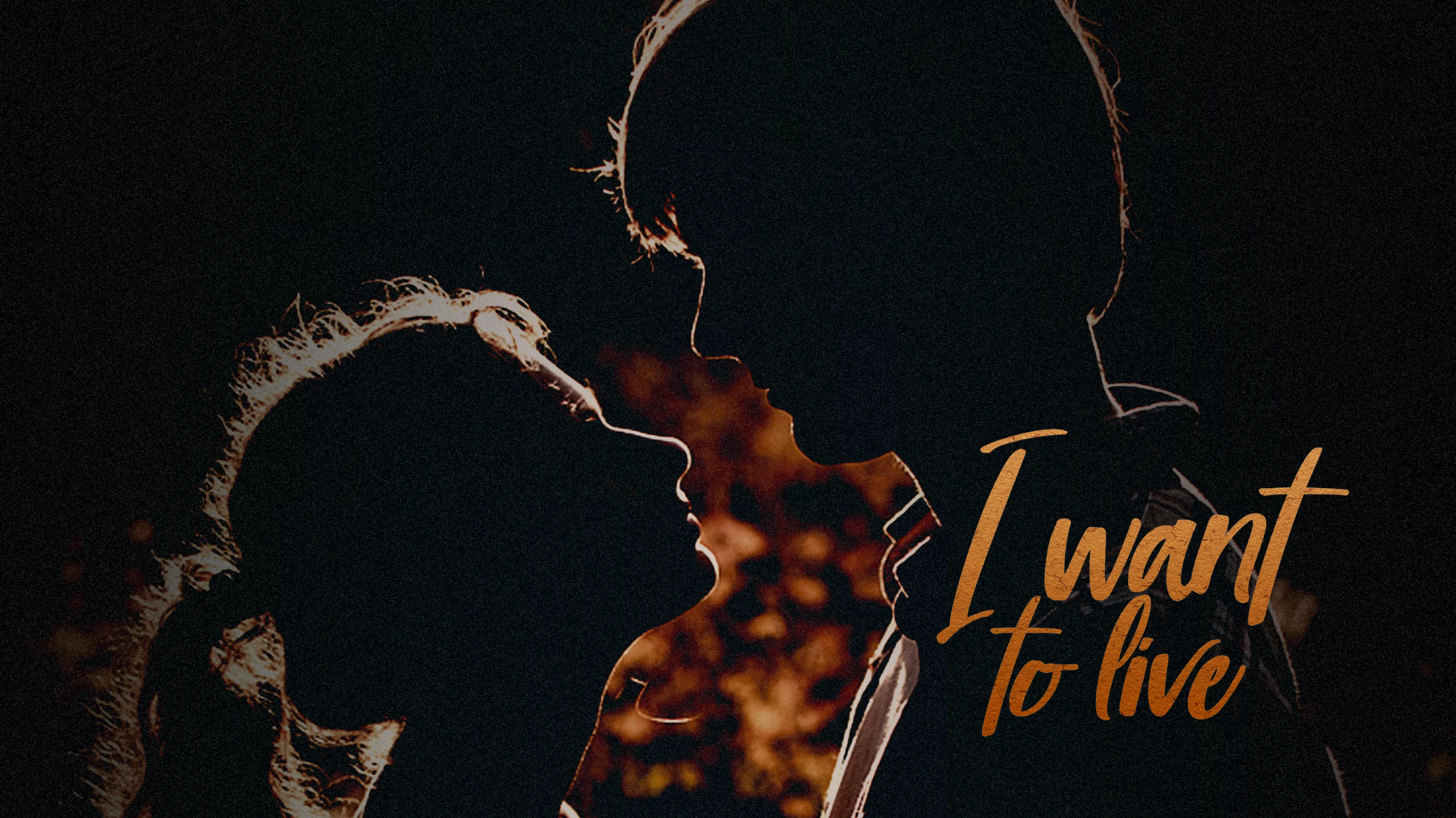 I Want to Live poster